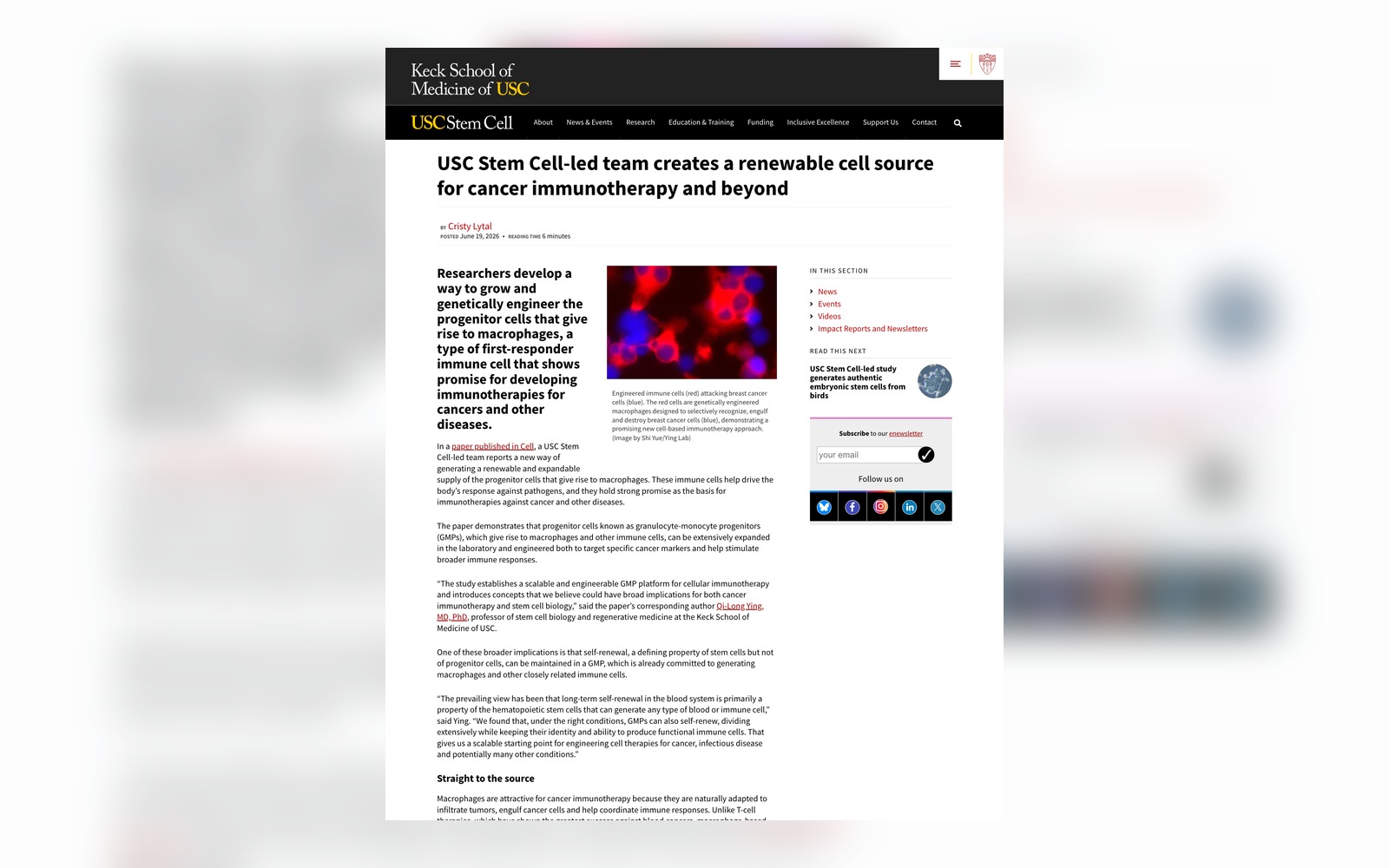 USC Stem Cell 암 면역세포 플랫폼 기사 화면
